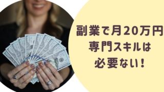 副業で月20万円専門スキルは必要ない