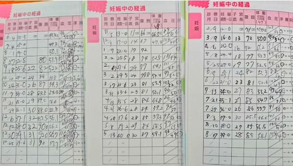 母子手帳の記録