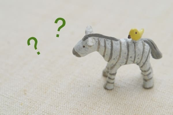 保険の悩み