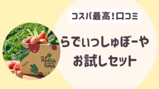 らでぃっしゅぼーや口コミ
